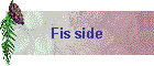 Fis side